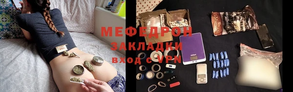стаф Верея