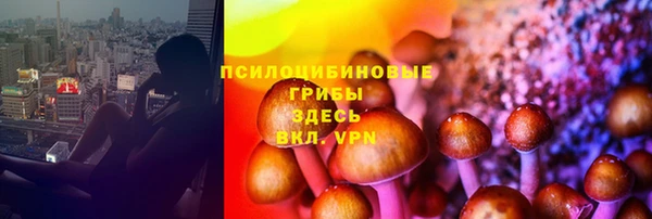 соль ск Верхнеуральск