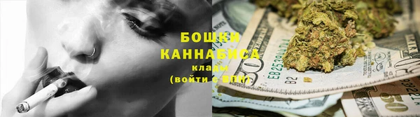 стаф Верея