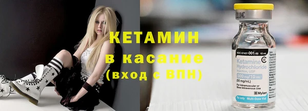стаф Верея