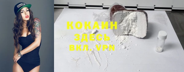 стаф Верея