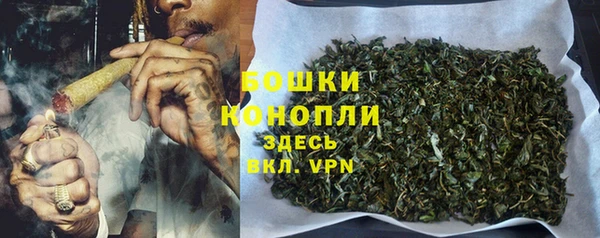 МДПВ Бугульма