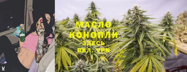 стаф Верея