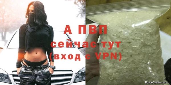 стаф Верея