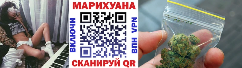 Бошки Шишки VHQ Гай